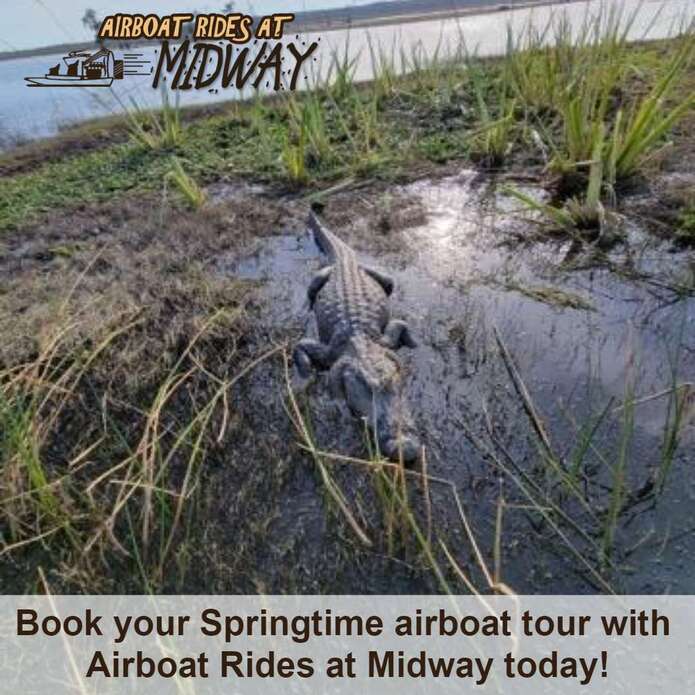 Gator Springtime Airboats 