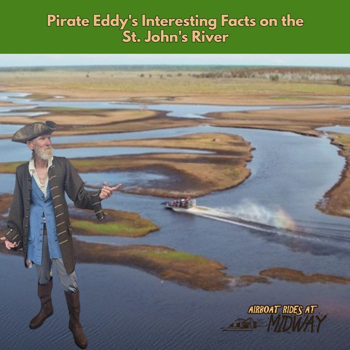 Pirate Eddy