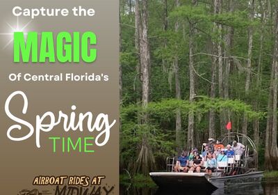 Take a Private Airboat Charter and Capture the Magic of Central Florida's Springtime.