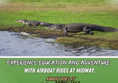 Experience Education and Adventure with Airboat Rides at Midway.