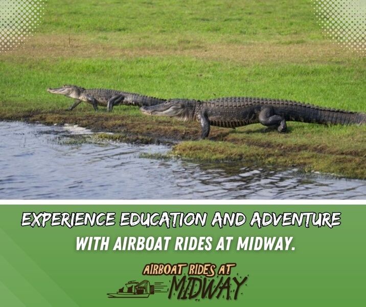 Experience Education and Adventure with Airboat Rides at Midway.