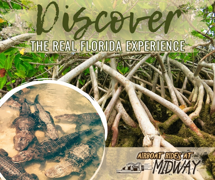 Discover the real Florida experience with Airboat Rides at Midway.