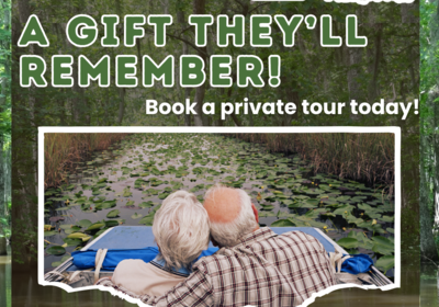 A Private, One-Hour Tour Makes a Memorable Gift